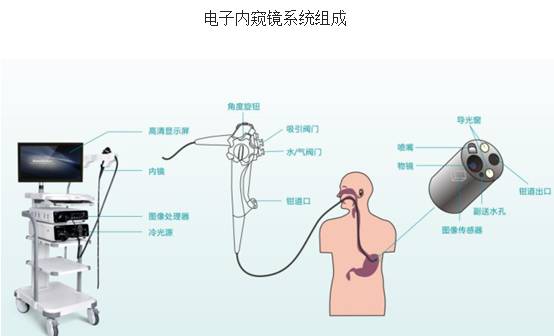 下载 (2).jpg